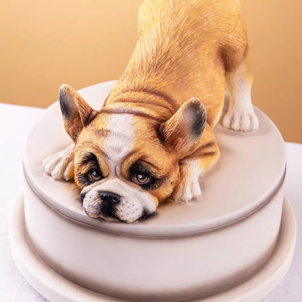 3D Fondant French Bulldog Making Course