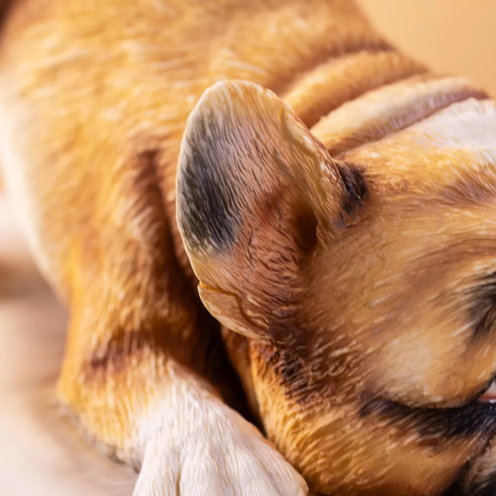 3D Fondant French Bulldog Making Course