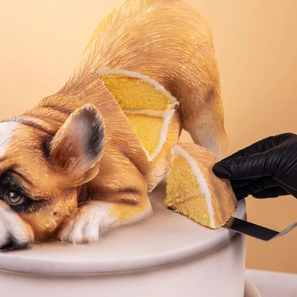3D Fondant French Bulldog Making Course