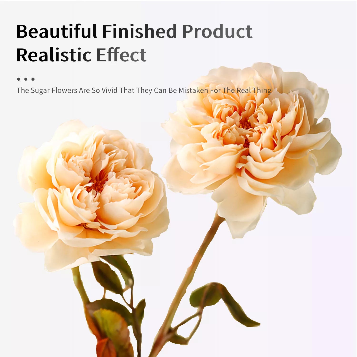 ZZJ0091 Realistic Peony Sugar Paste Cutting And Embossing Silicone Mold Set
