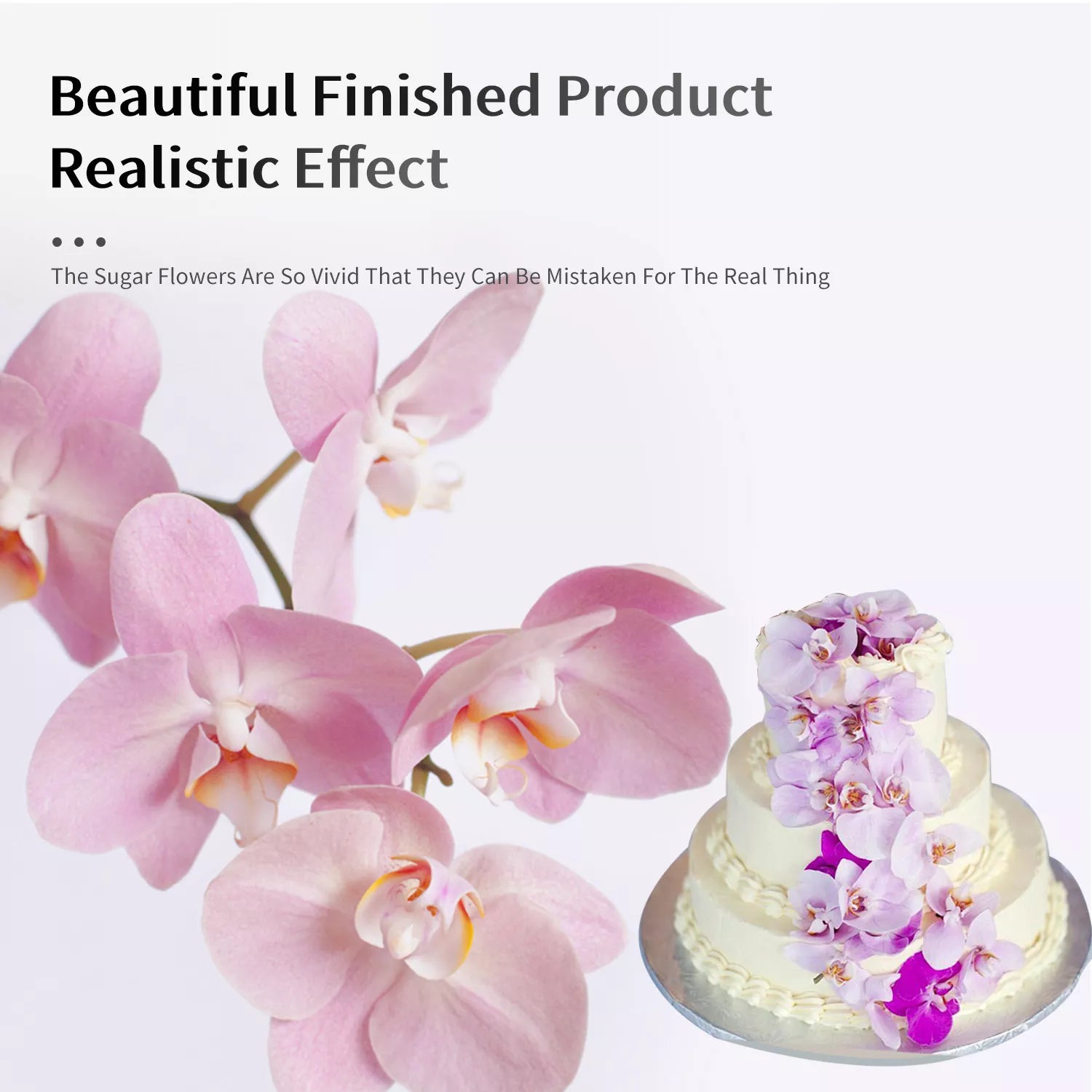 Realistic Phalaenopsis Orchid Sugar Paste Cutting And Embossing Silicone Mold Set