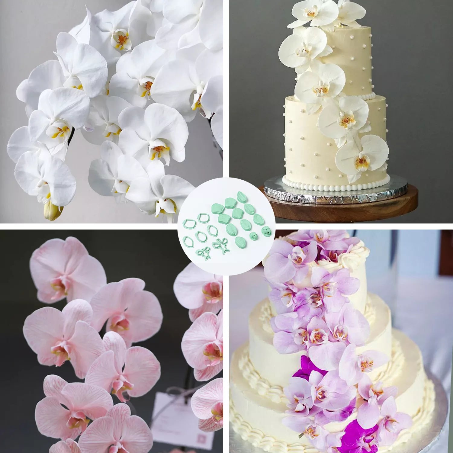 Realistic Phalaenopsis Orchid Sugar Paste Cutting And Embossing Silicone Mold Set