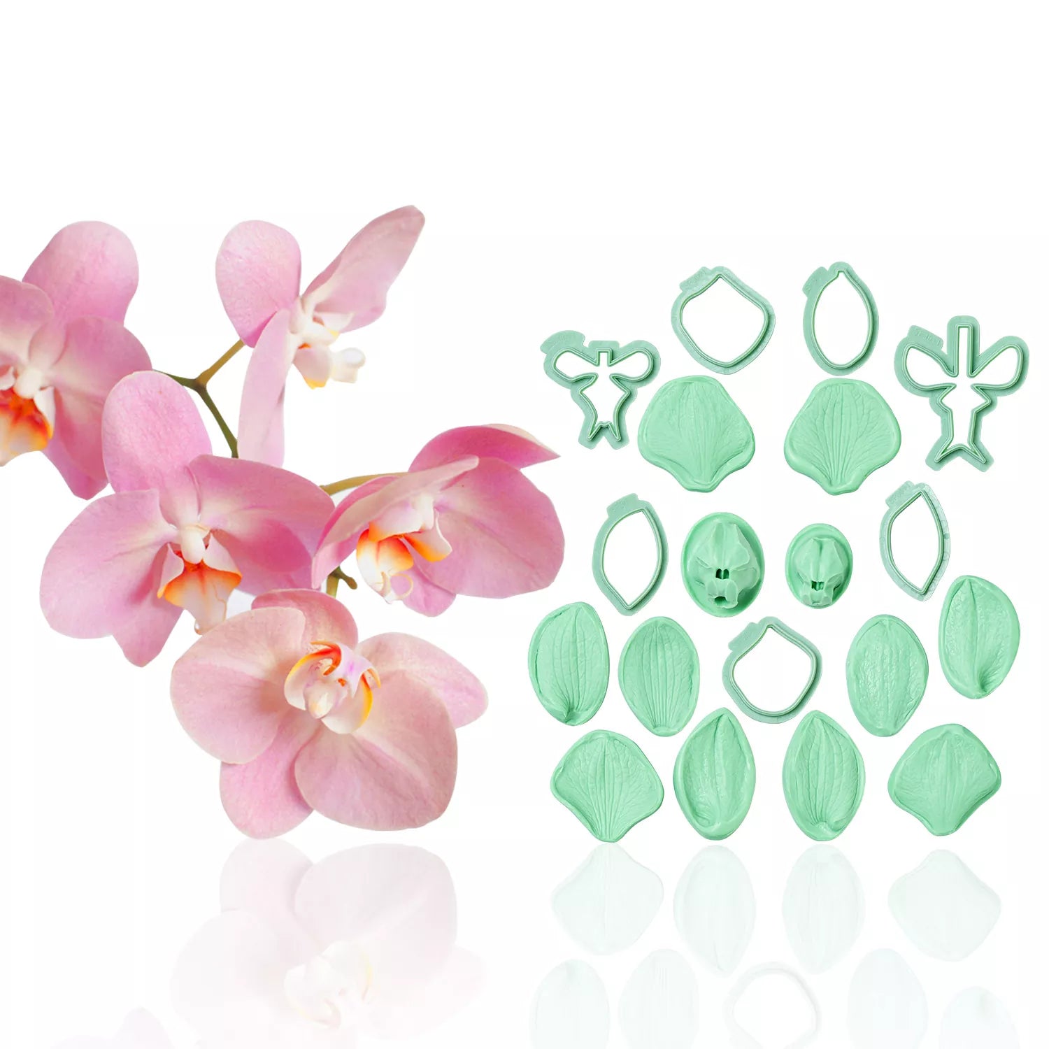 Realistic Phalaenopsis Orchid Sugar Paste Cutting And Embossing Silicone Mold Set