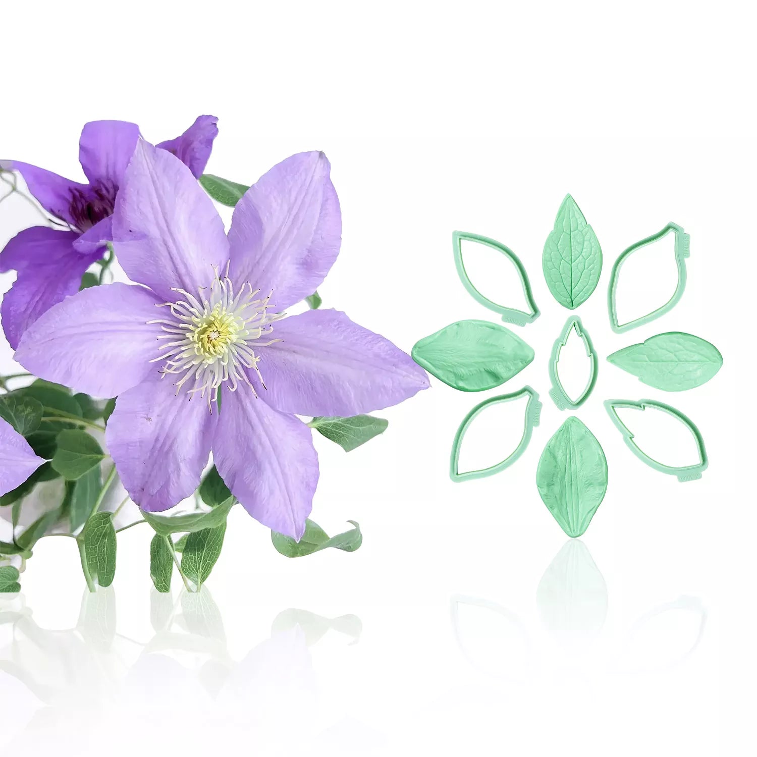 Realistic Phalaenopsis Orchid Sugar Paste Cutting And Embossing Silicone Mold Set