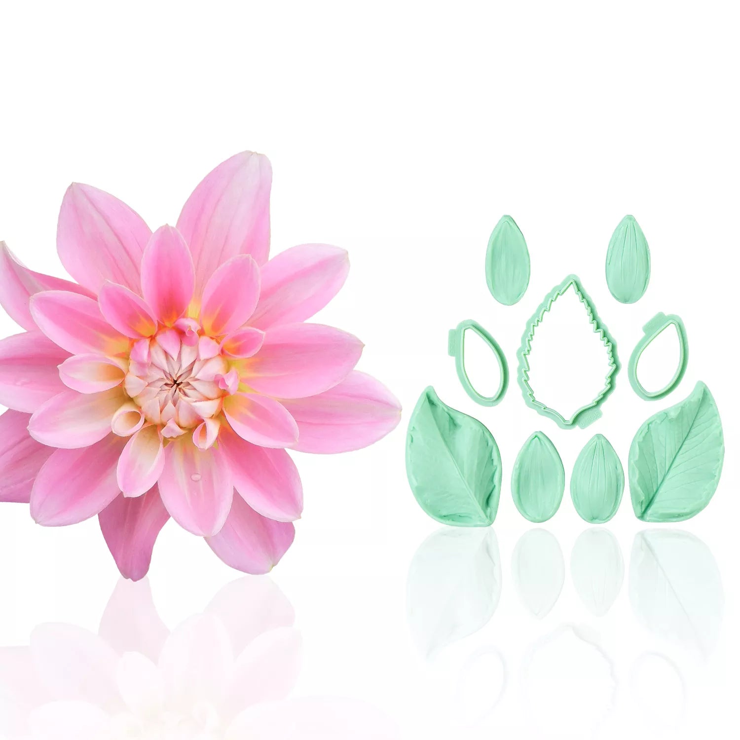 Realistic Phalaenopsis Orchid Sugar Paste Cutting And Embossing Silicone Mold Set