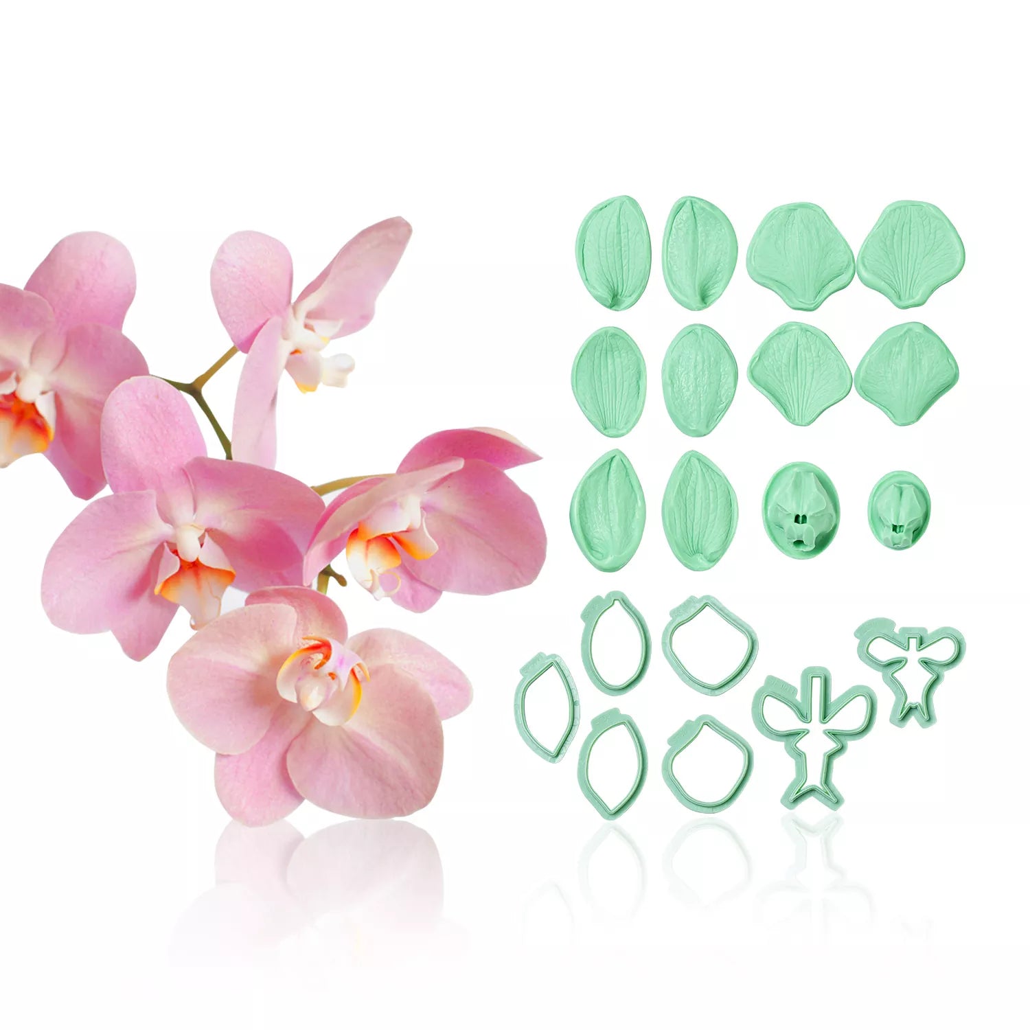 Realistic Phalaenopsis Orchid Sugar Paste Cutting And Embossing Silicone Mold Set